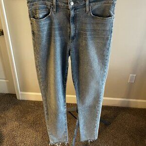 Joe's Jeans Skinny Jean